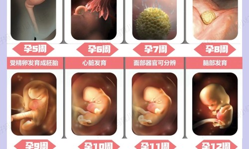 喝中药真能调理好痛经吗-你们喝中药痛经好了吗网 :分享喝中药痛经怎么办-喝中药调理痛经有用吗知识